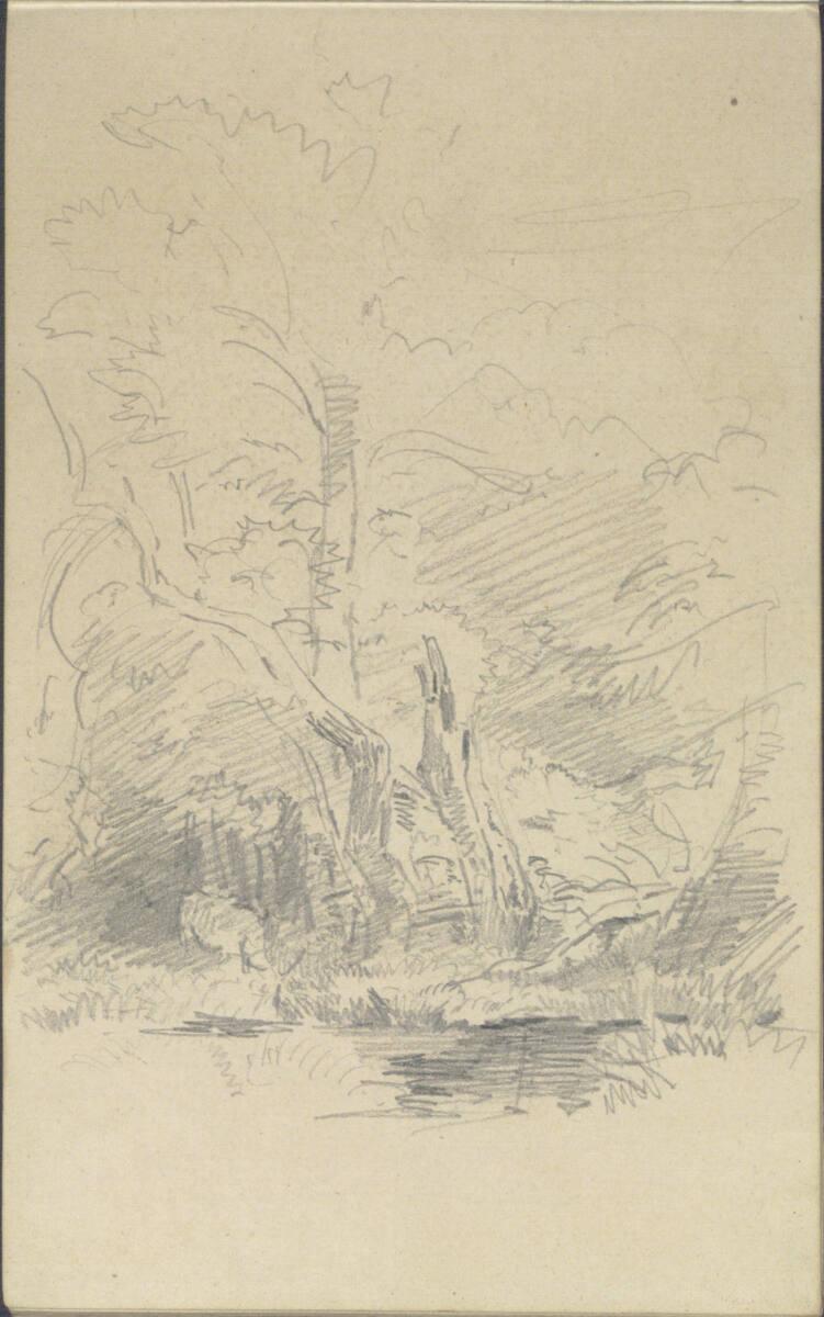 Friedrich Gauermann, Waldstück mit Wildschwein, Inv. Nr.: 25672/76v
