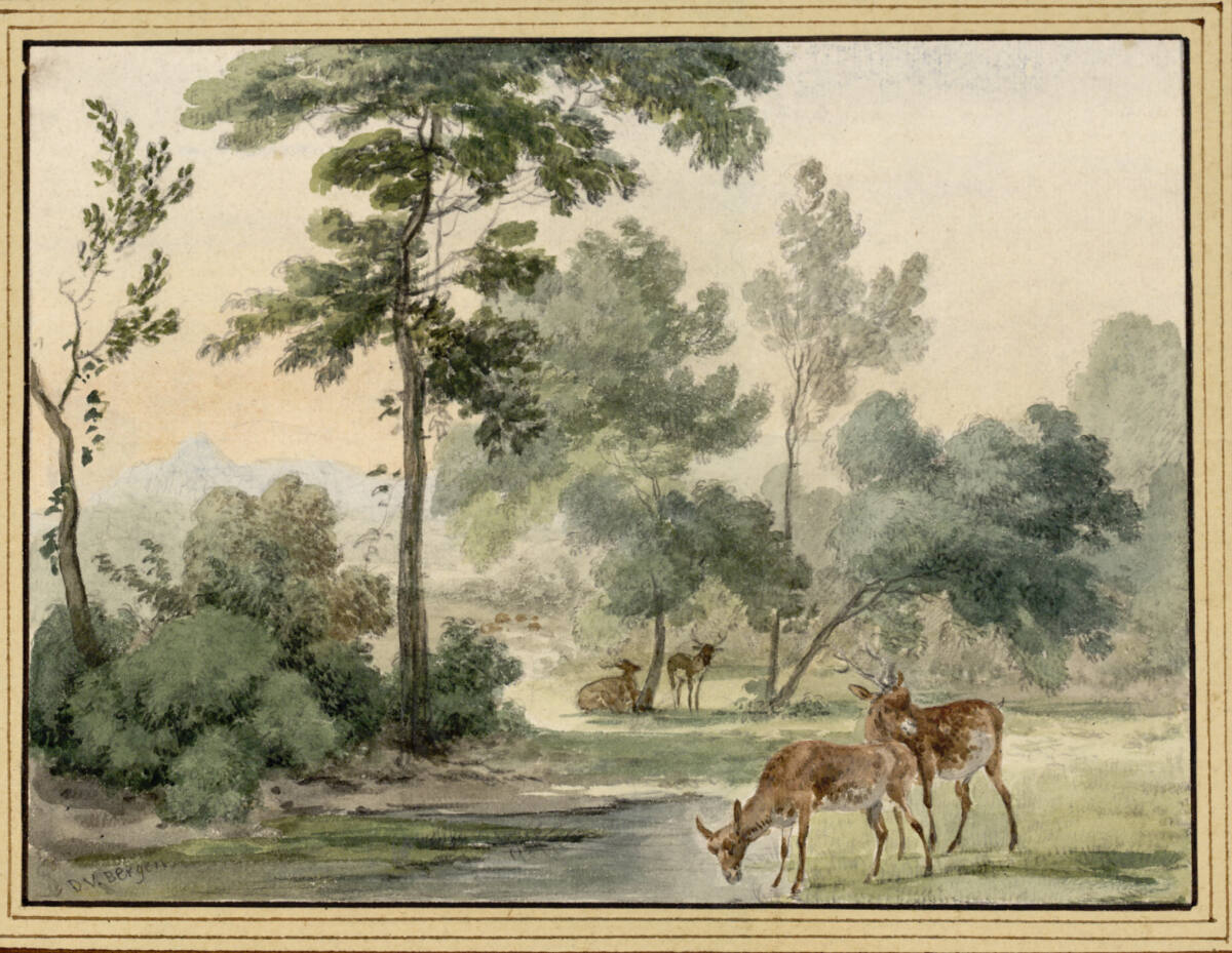 Parklandschaft mit Dammwild an einem Tümpel, Dirck van der Bergen
