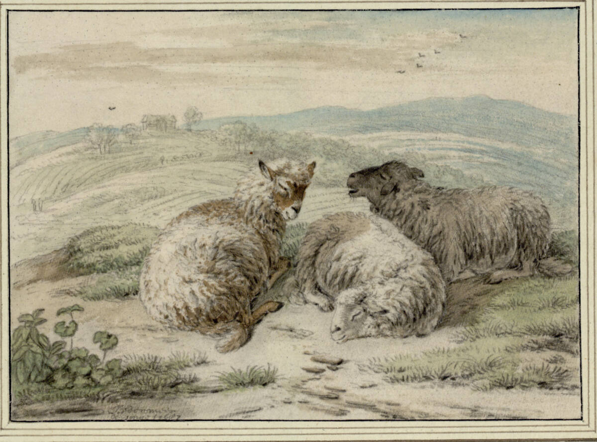 Drei liegende Schafe vor weiter Hügellandschaft, Jan van der Meer d.Ä., 1687