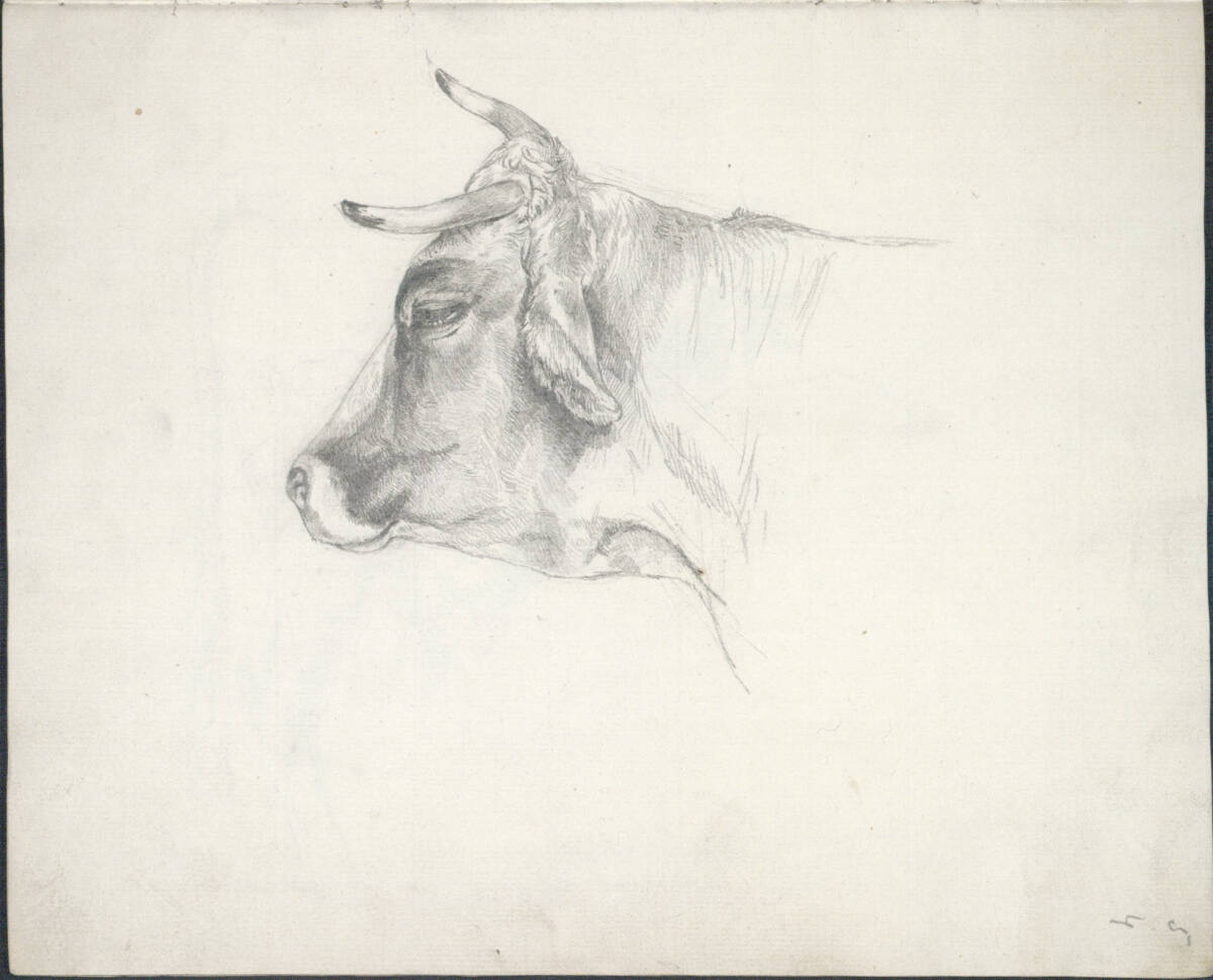 Rinderstudie, Friedrich Gauermann, 1826