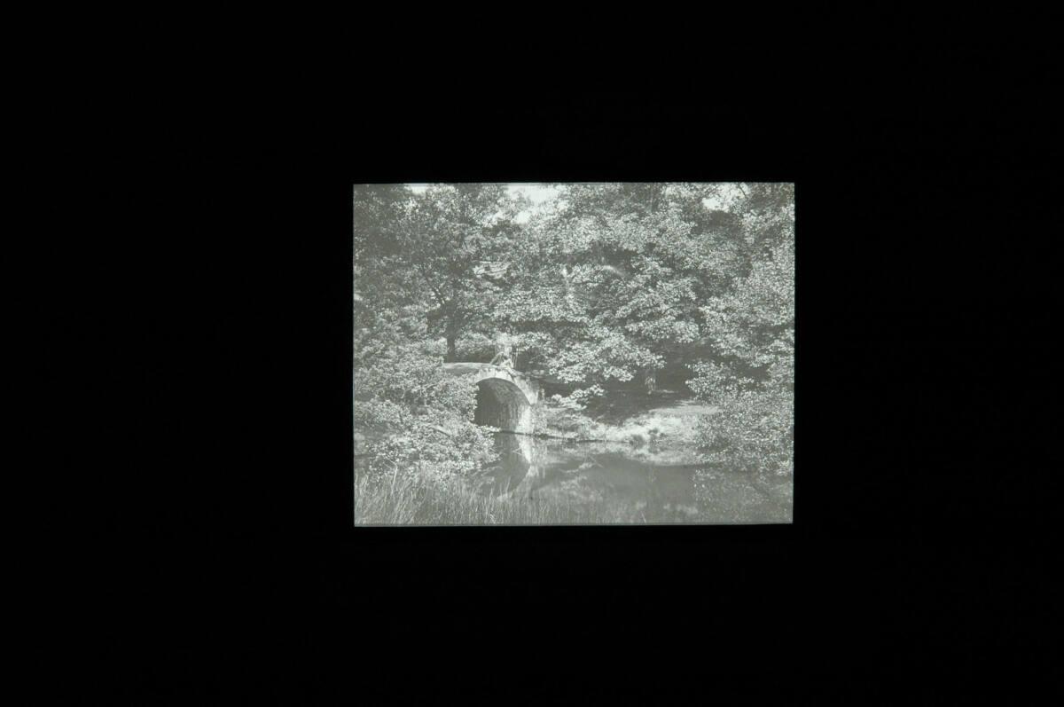Francis Bedford, Englische Parklandschaft, Inv. Nr.: FotoGLV2000/14611/23
