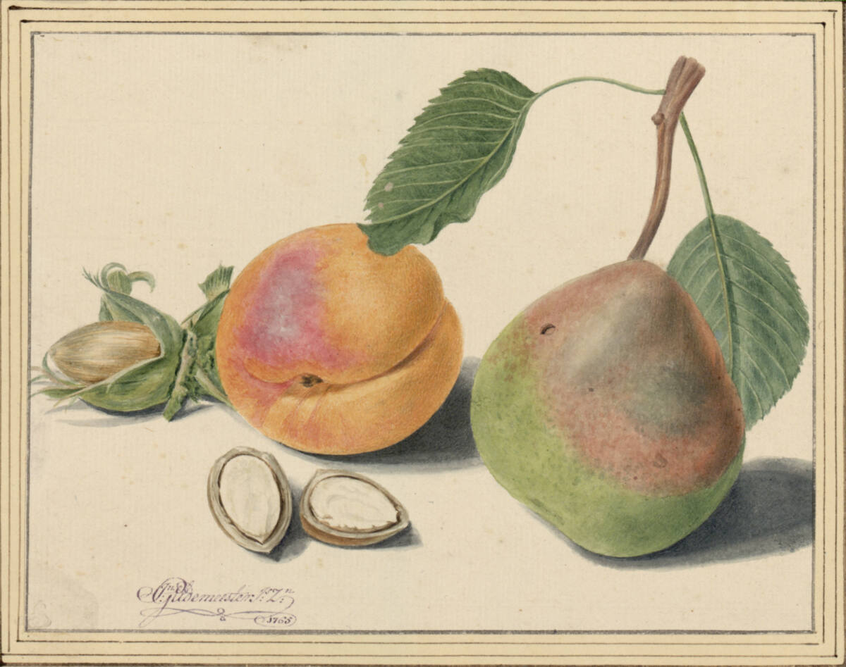 Stillleben Marille, Birne und Haselnüssen, JanGildemeester, 1765
