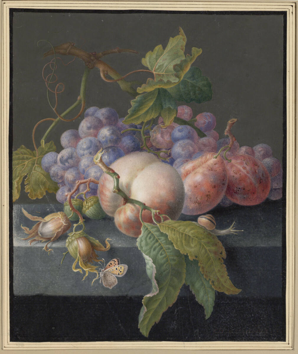 Früchtestillleben mit kleiner Schnecke und Schmetterlingen, Herman Henstenburgh