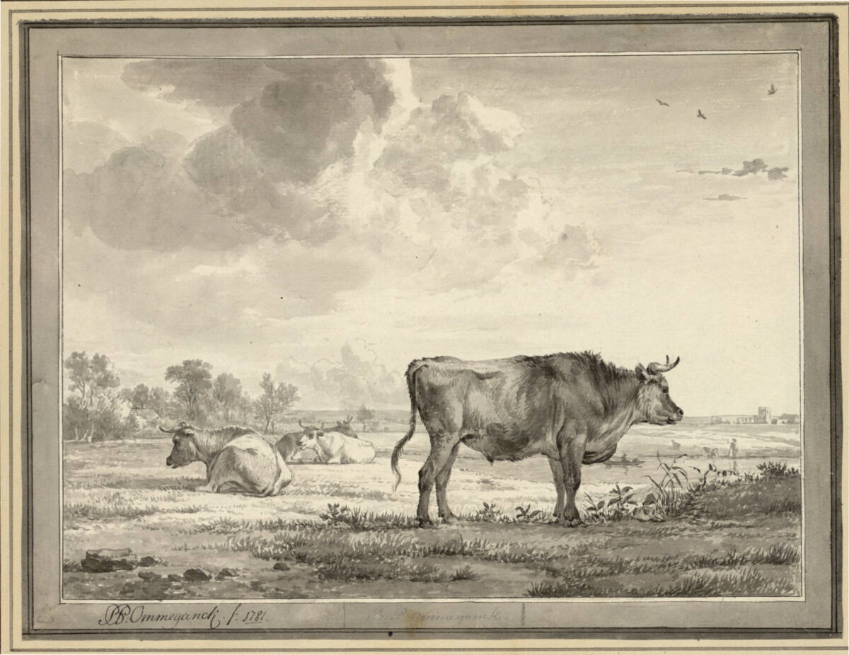 Flache Weidelandschaft mit stehendem Ochsen, Balthasar-Paul Ommeganck, 1781