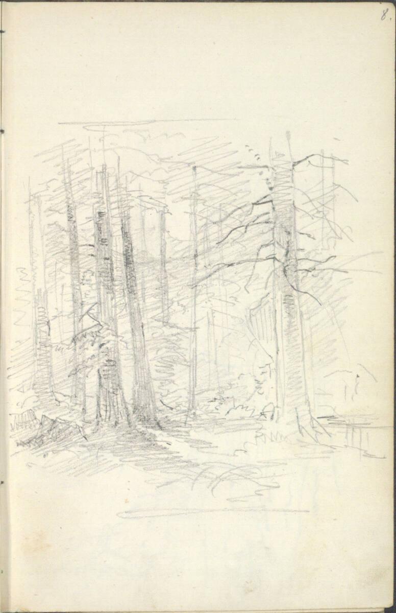 Friedrich Gauermann, Entwurfskizze für ein Waldstück, Inv. Nr.: 25671/8