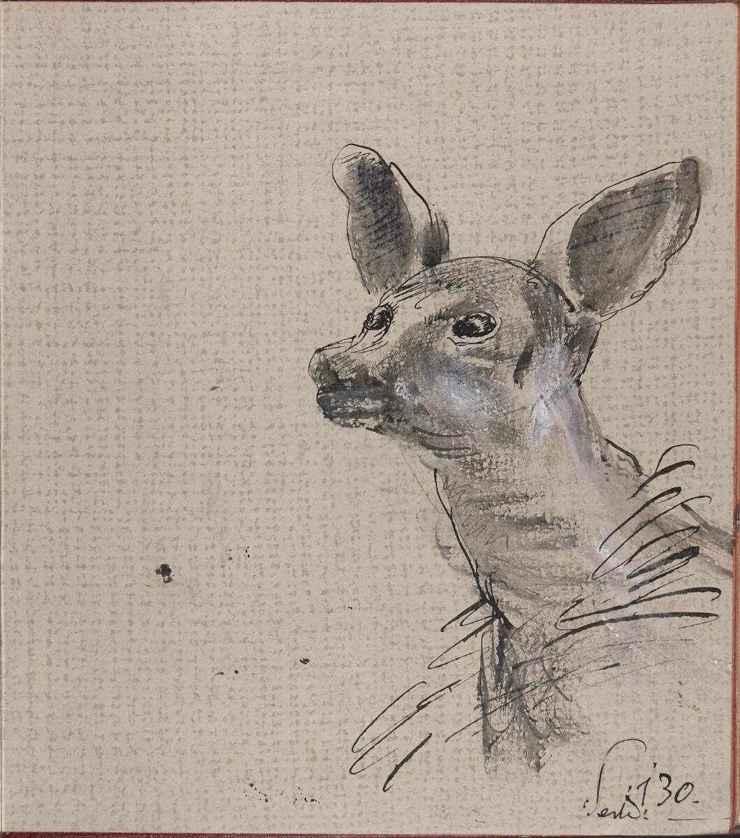 Oskar Laske, Skizze eines Rehs, Inv. Nr.: 35007/12/130