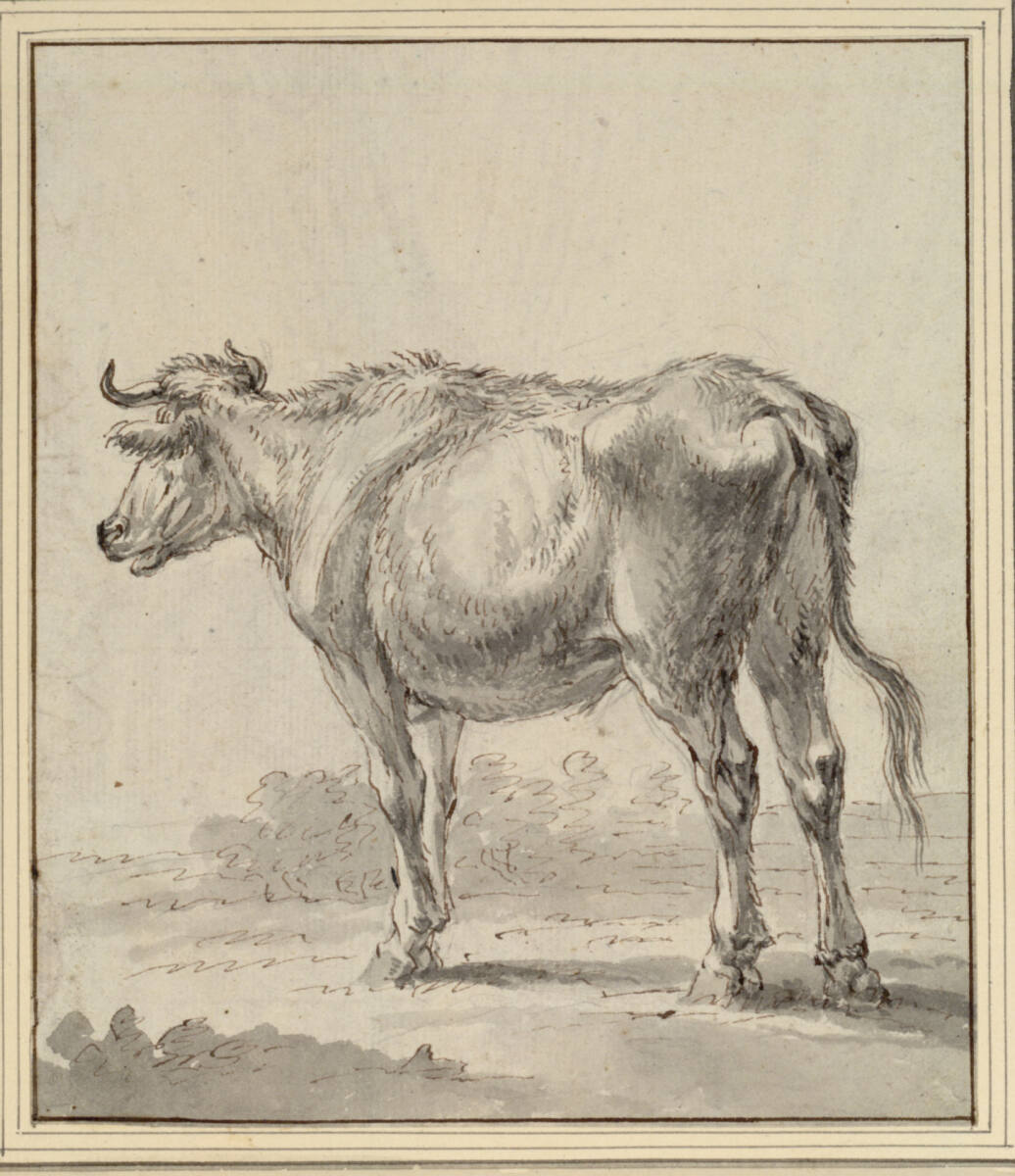 Stehender junger Stier, in verlorenem Profil, WillemRutgaartvanderWall
