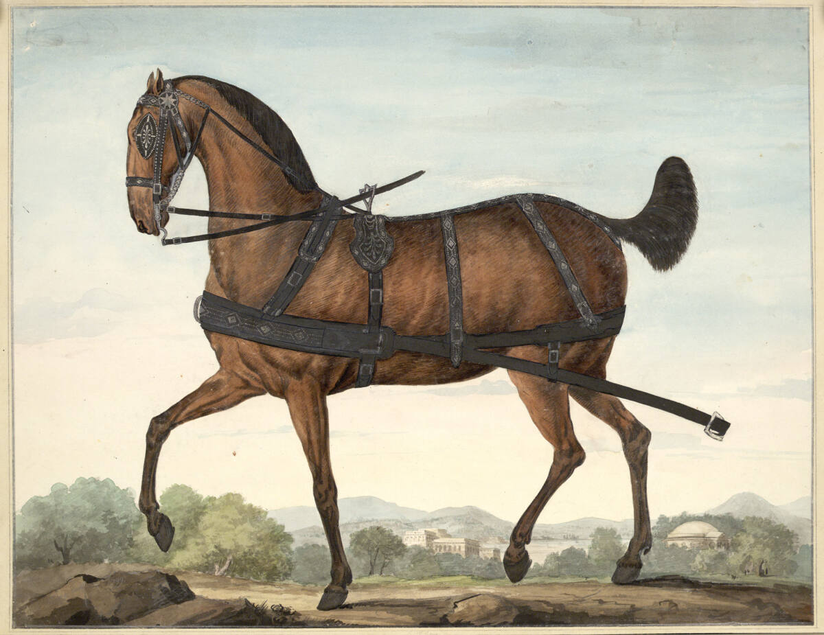 FrançoisLefèbvre, Pferd mit prunkvollem Geschirr, aus einem Gespann