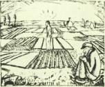Erich Heckel, Flandrische Ebene, Inv. Nr.: DG1917/79/35