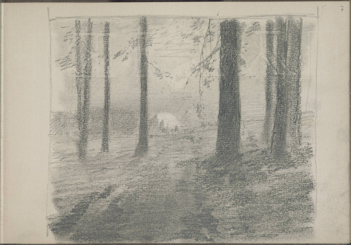 Bildentwurf eines Waldstücks, Ludwig Rösch