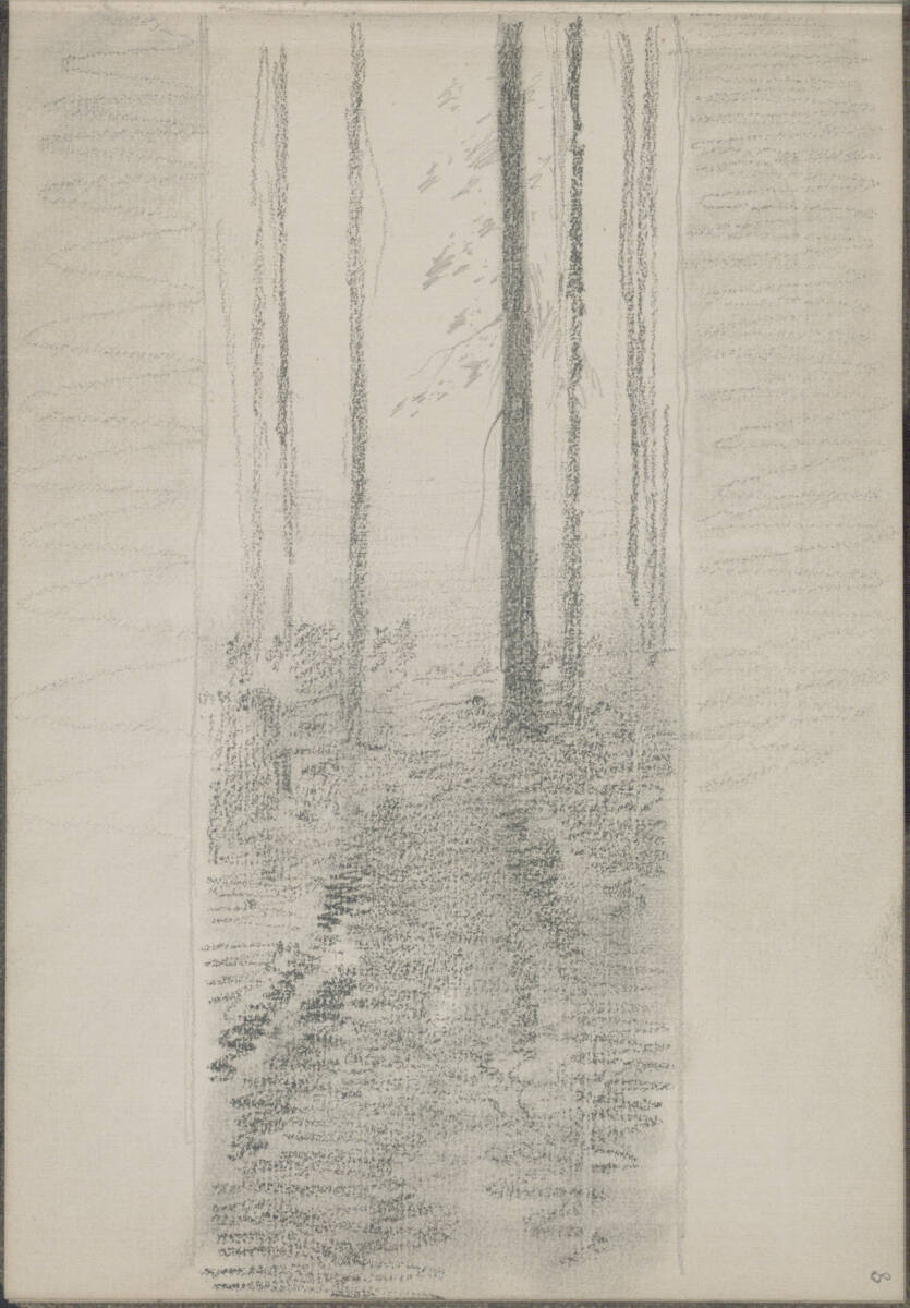 Bildentwurf eines Waldstücks, Ludwig Rösch