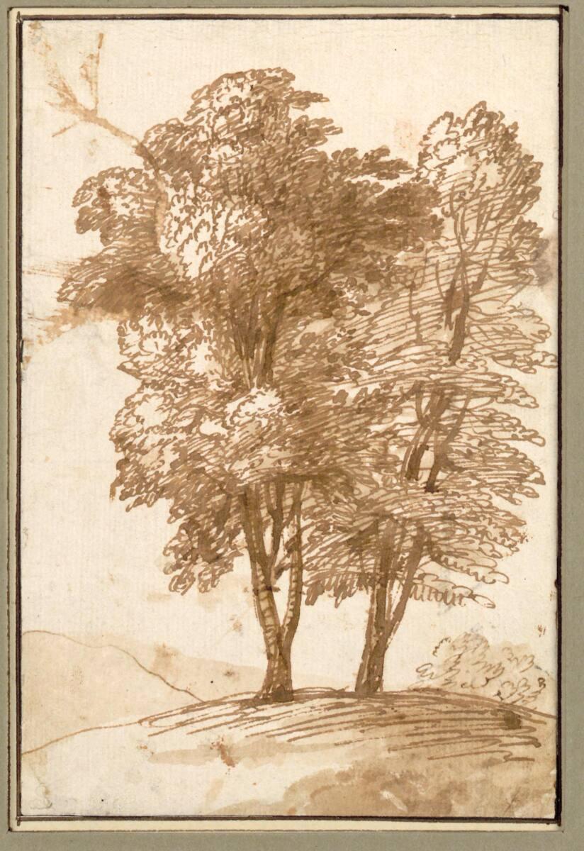 Claude Gellée gen. Claude Lorrain, Zwei Bäume auf einem Hügel, Inv. Nr.: 11545