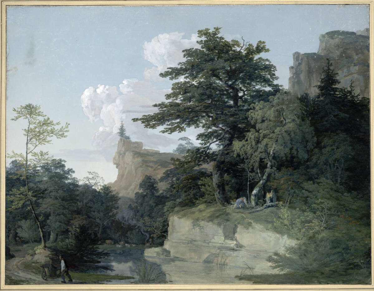 Tümpel im Wald, Anton Radl