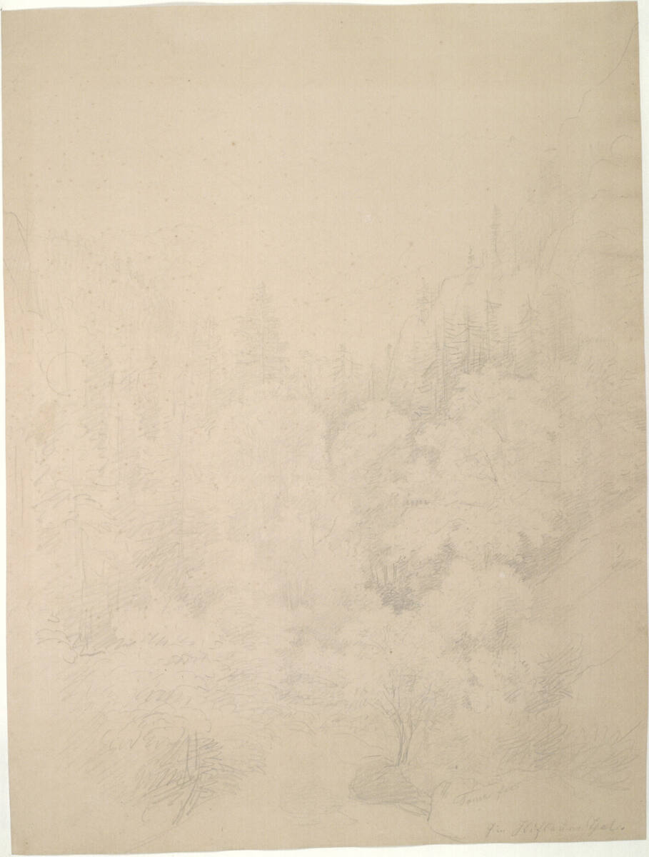 Waldlandschaft, Matthias Rudolf Toma