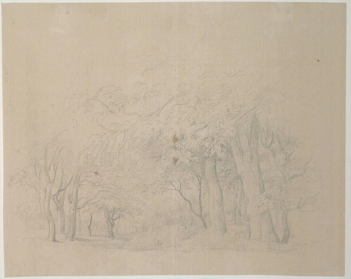 Matthias Rudolf Toma, Baumgruppen, Inv. Nr.: 39746/9