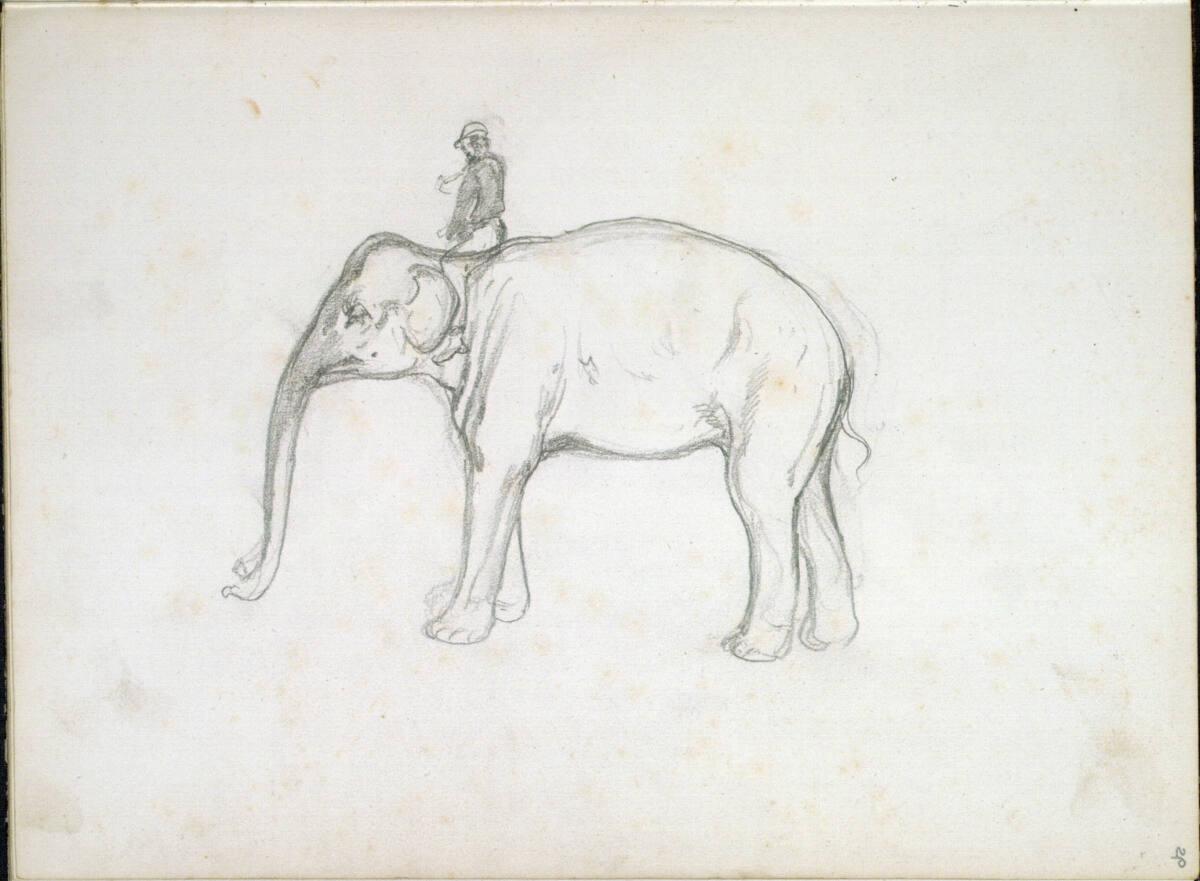 Johann Nepomuk Passini, Skizze eines Elefanten mit Reiter, Inv. Nr.: 36921/29