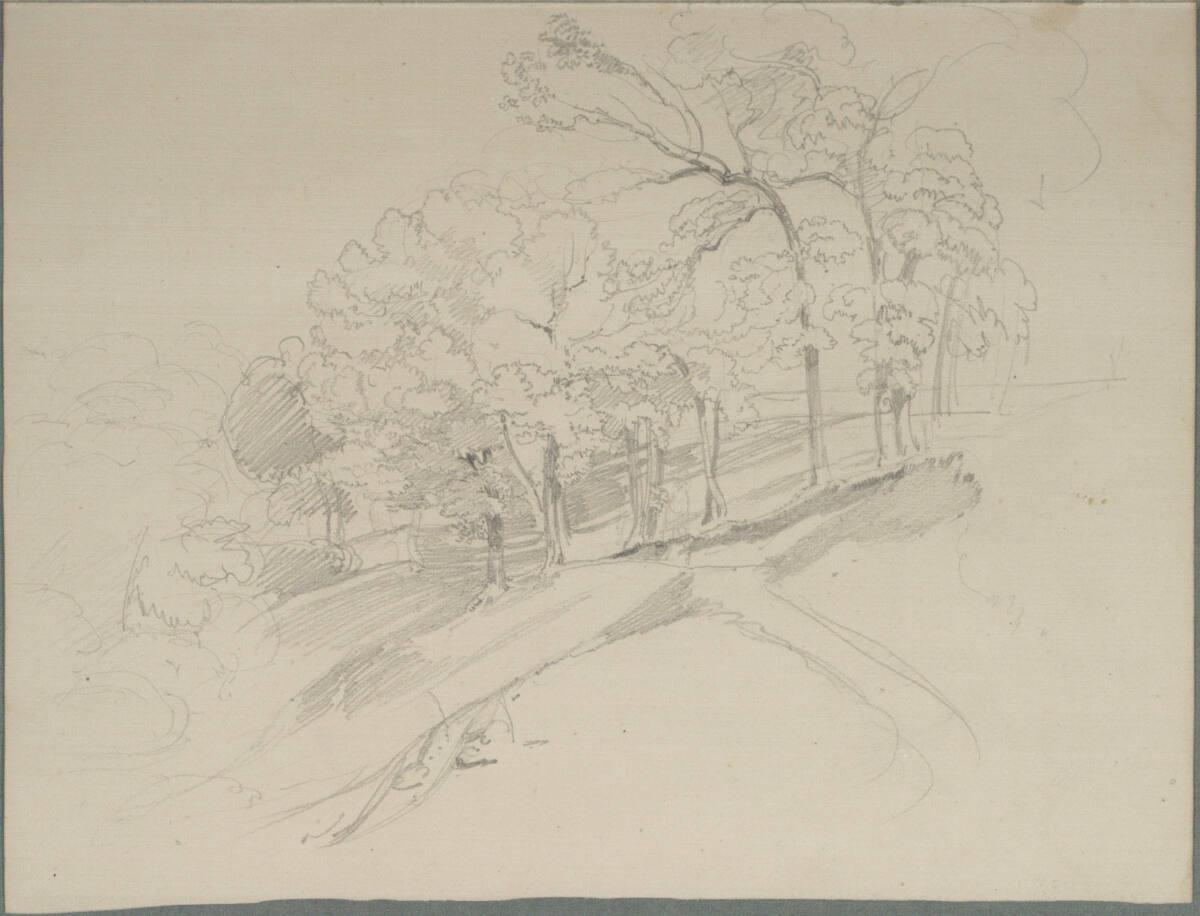 Johann Nepomuk Passini, Waldlandschaft, Inv. Nr.: 36920/25v