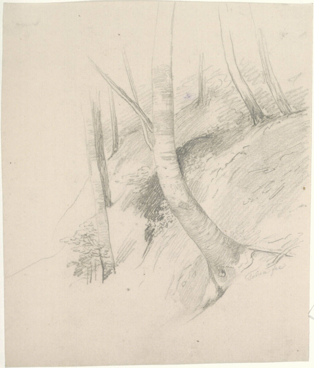 Studie eines abfallenden Waldstückes, Matthias Rudolf Toma