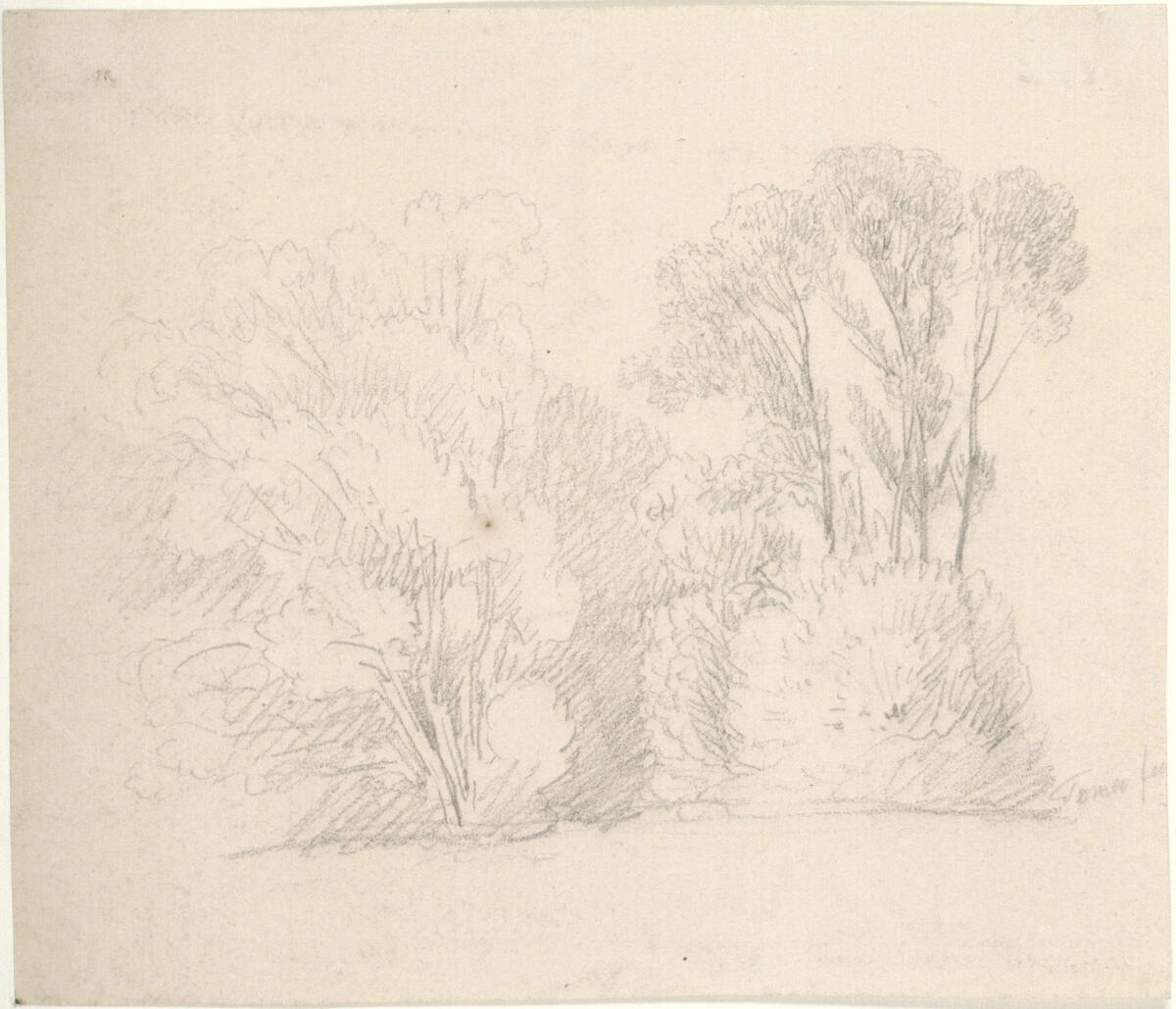 Waldstück, Matthias Rudolf Toma
