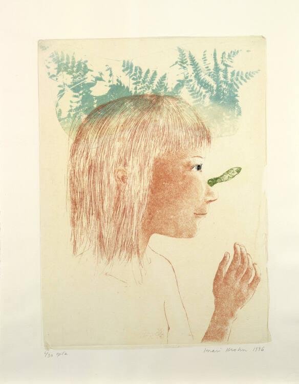 Inari Krohn, Die Nase, Inv. Nr.: DG1998/553