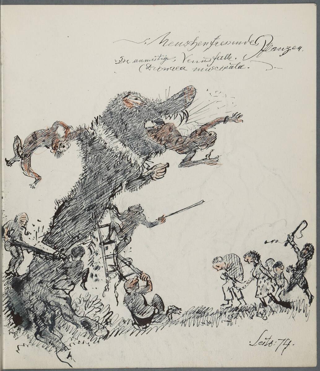 Oskar Laske, Menschenfressende Pflanzen. Die anmutige Venusfalle., Inv. Nr.: 35007/6/74