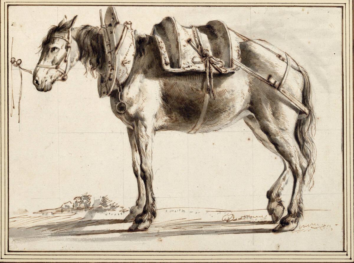 Jean Jacques de Boissieu, Gesatteltes Pferd, Inv. Nr.: 12613