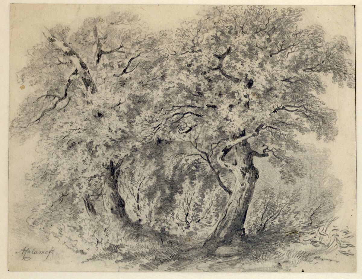 Alexandre Calame, Eichengruppe, Inv. Nr.: 12640