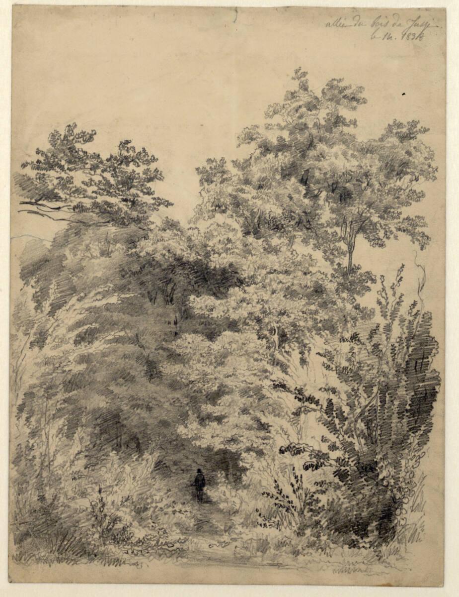 Alexandre Calame, Waldweg mit Figur eines Spaziergängers, Inv. Nr.: 12641