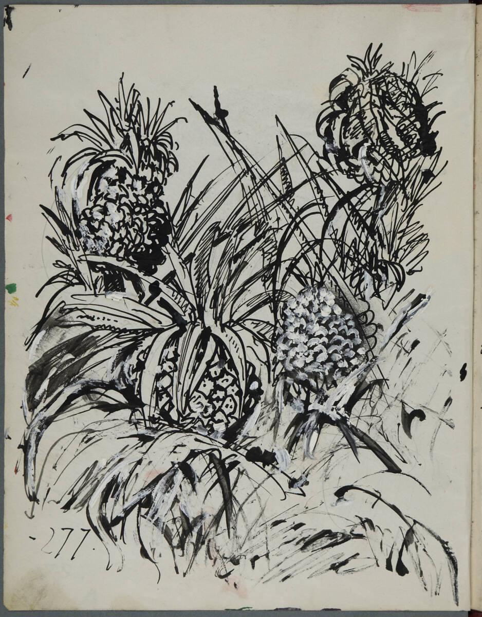 Oskar Laske, Pflanzenstudie, Inv. Nr.: 35007/5/277