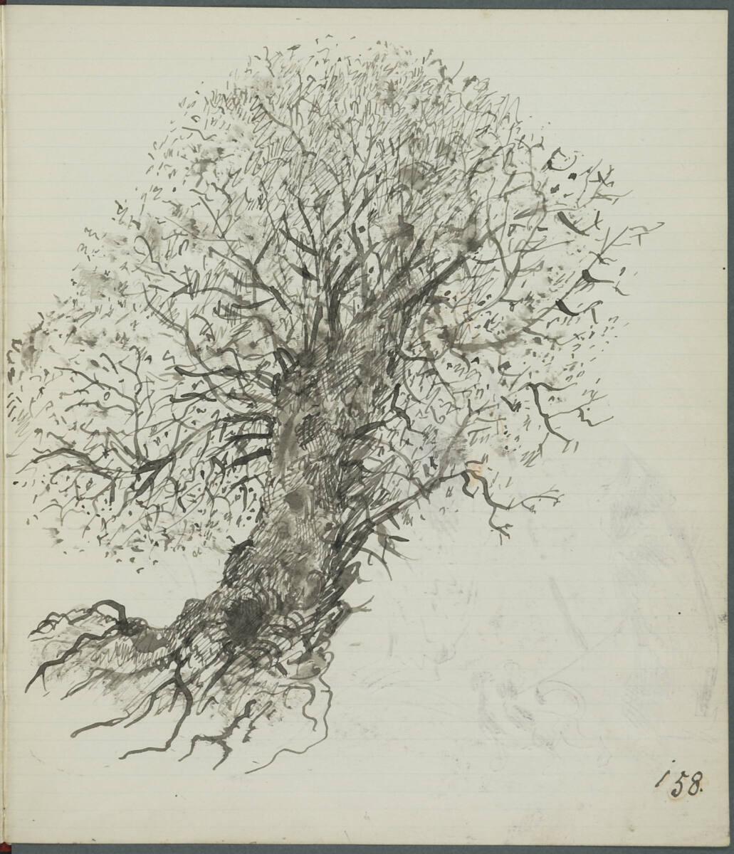 Oskar Laske, Skizze eines Baumes, Inv. Nr.: 35007/4/158