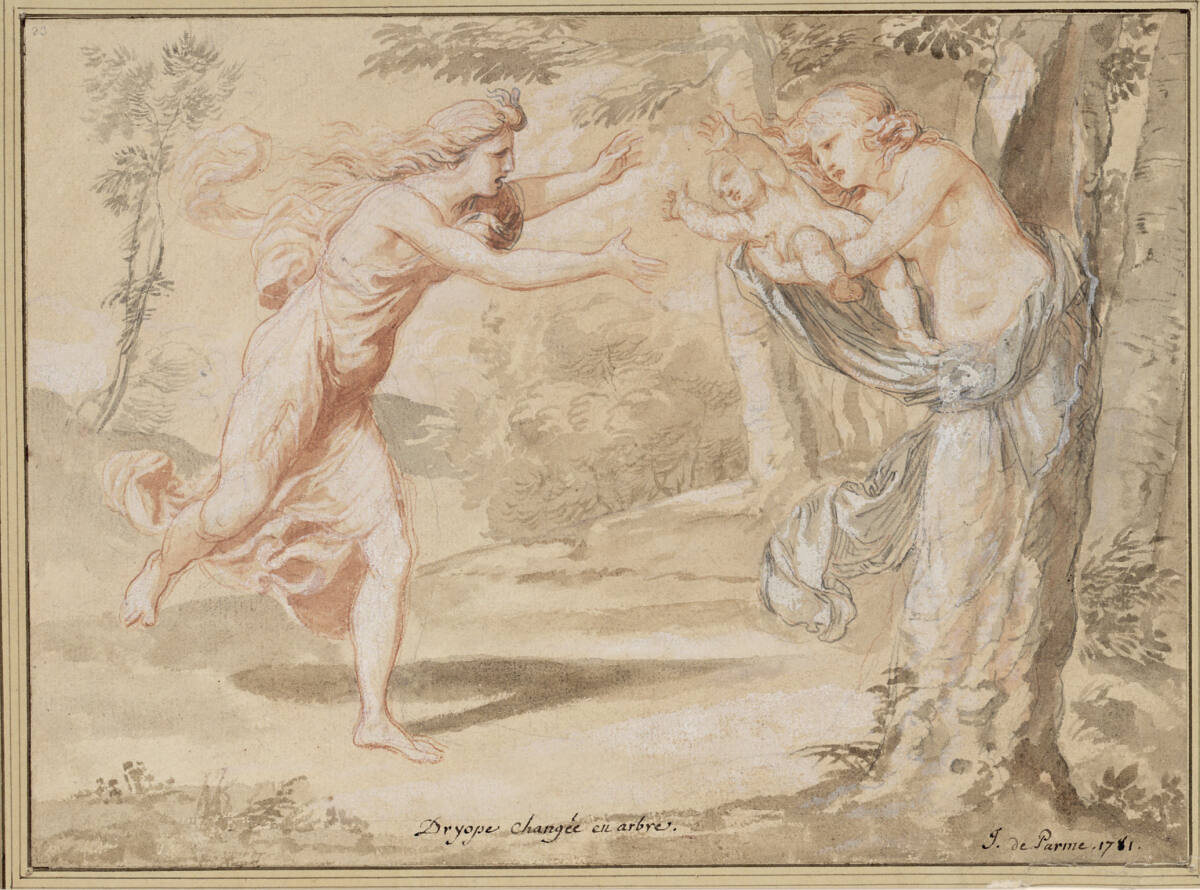 Dryope wird in einen Baum verwandelt, Julien de Parme, 1781