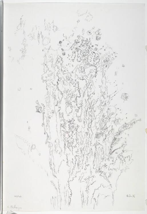 Max Weiler, Herbstbusch - ein Strichwesen, Inv. Nr.: 47314