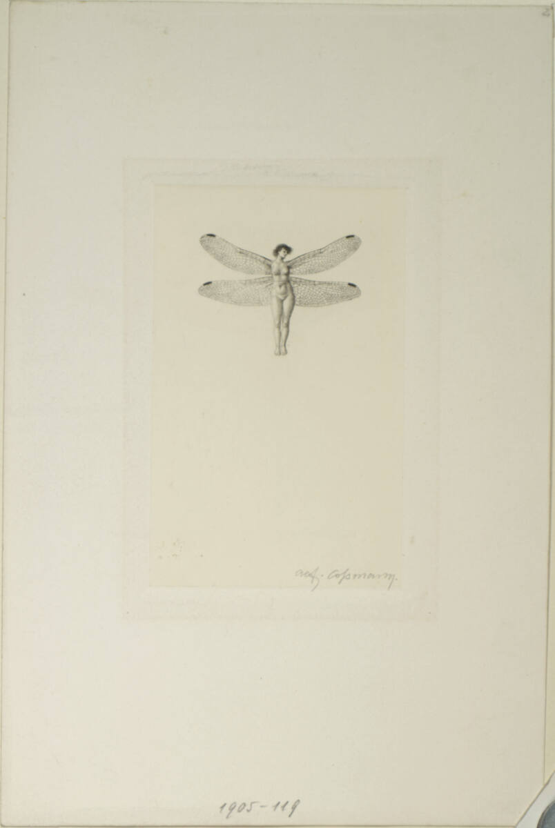 Frau mit Libellenflügeln, Alfred Cossmann