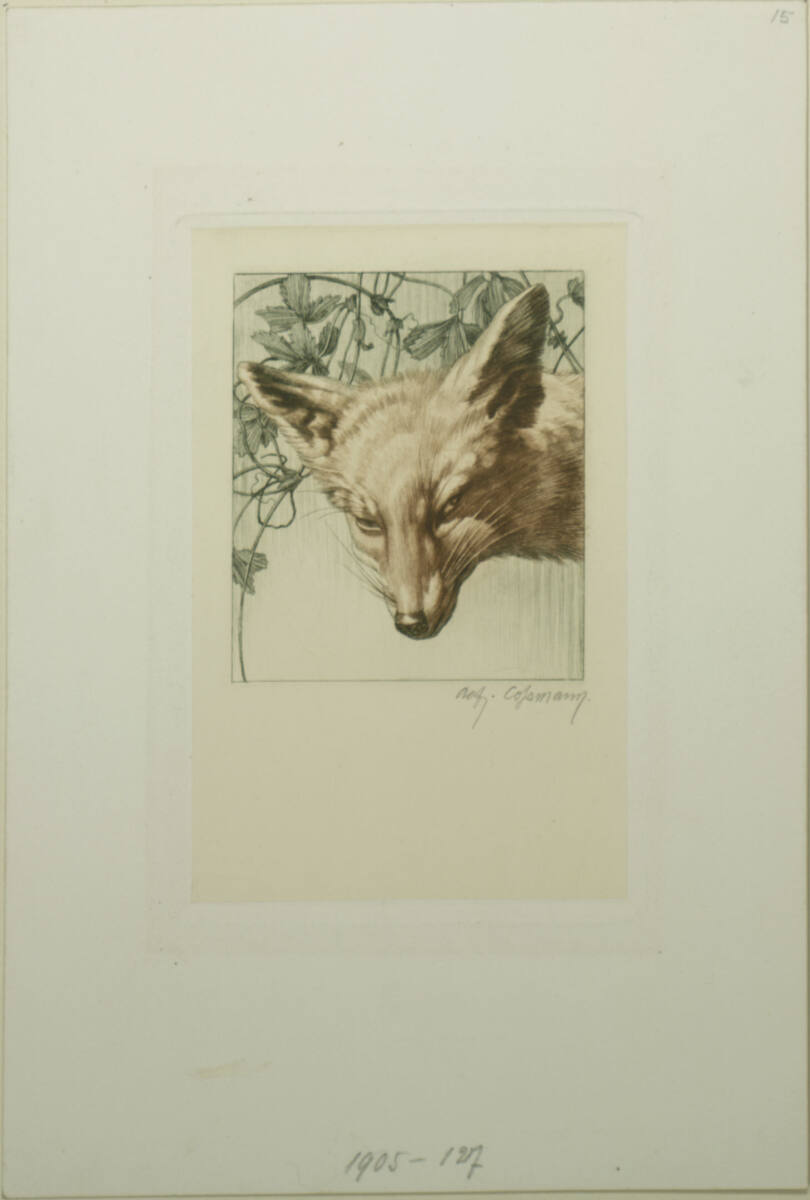 Fuchskopf, Alfred Cossmann