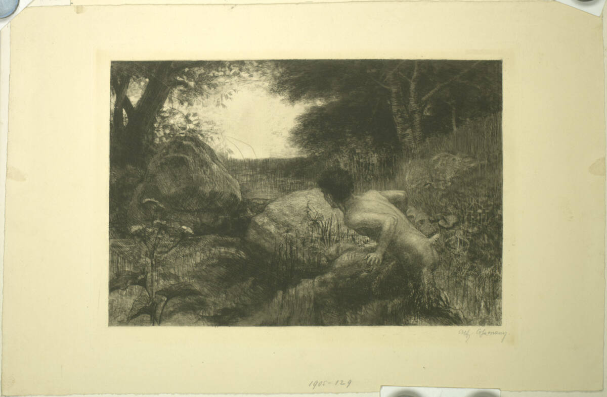 Pan, Alfred Cossmann