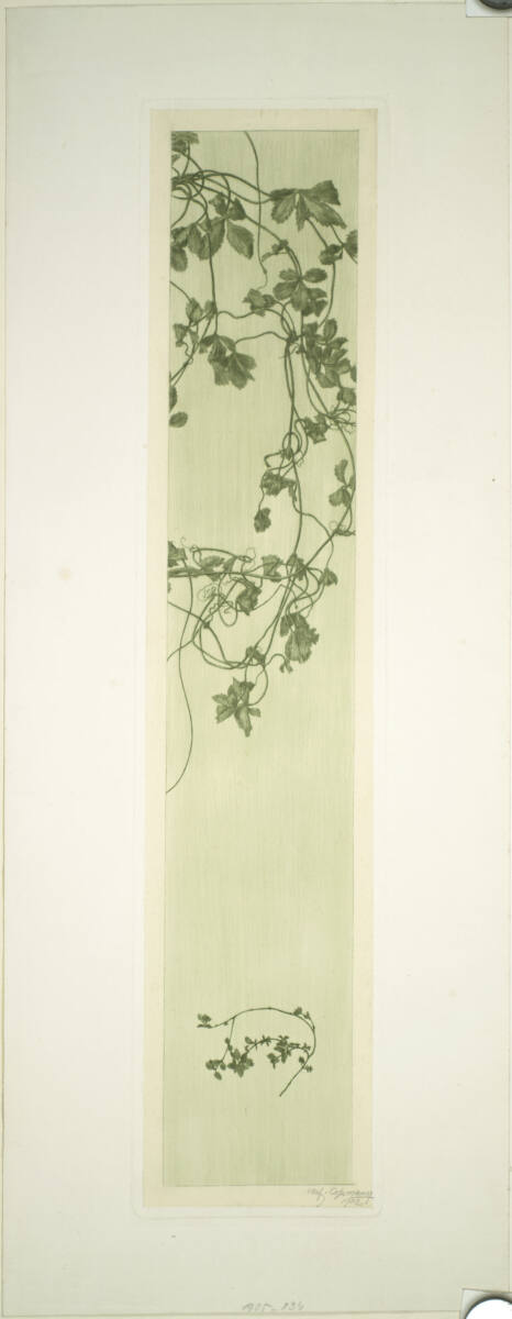 Weinlaub, Alfred Cossmann, 1902