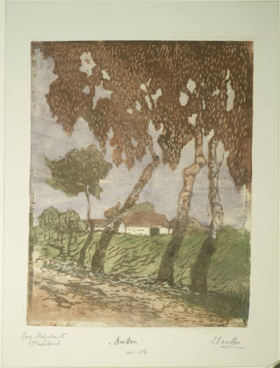Eleonore Doelter, Birken, Inv. Nr.: DG1911/506