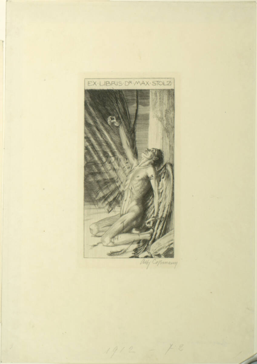 Ex libris Dr. Max Stolz, Alfred Cossmann