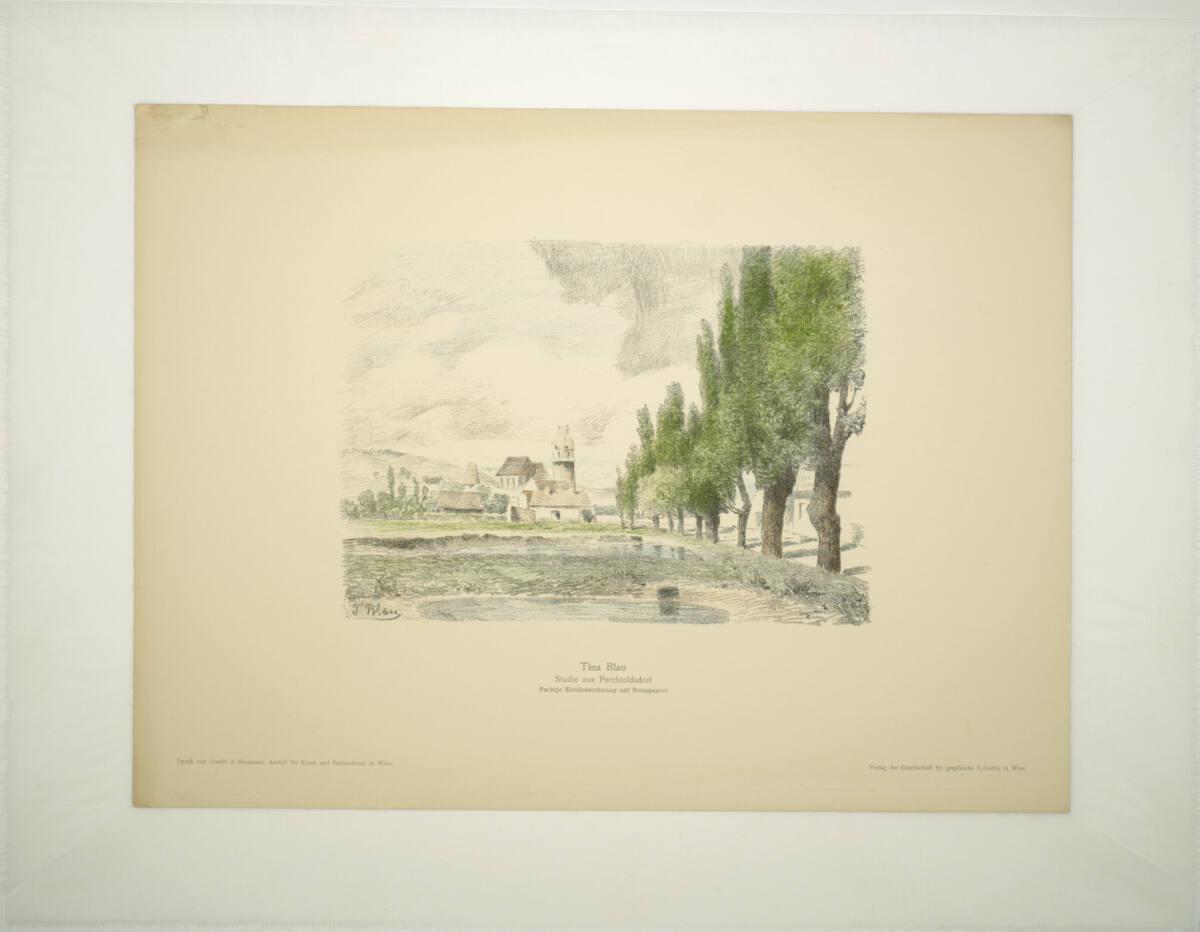 Tina Blau, Studie aus Perchtoldsdorf, Inv. Nr.: DG1993/675