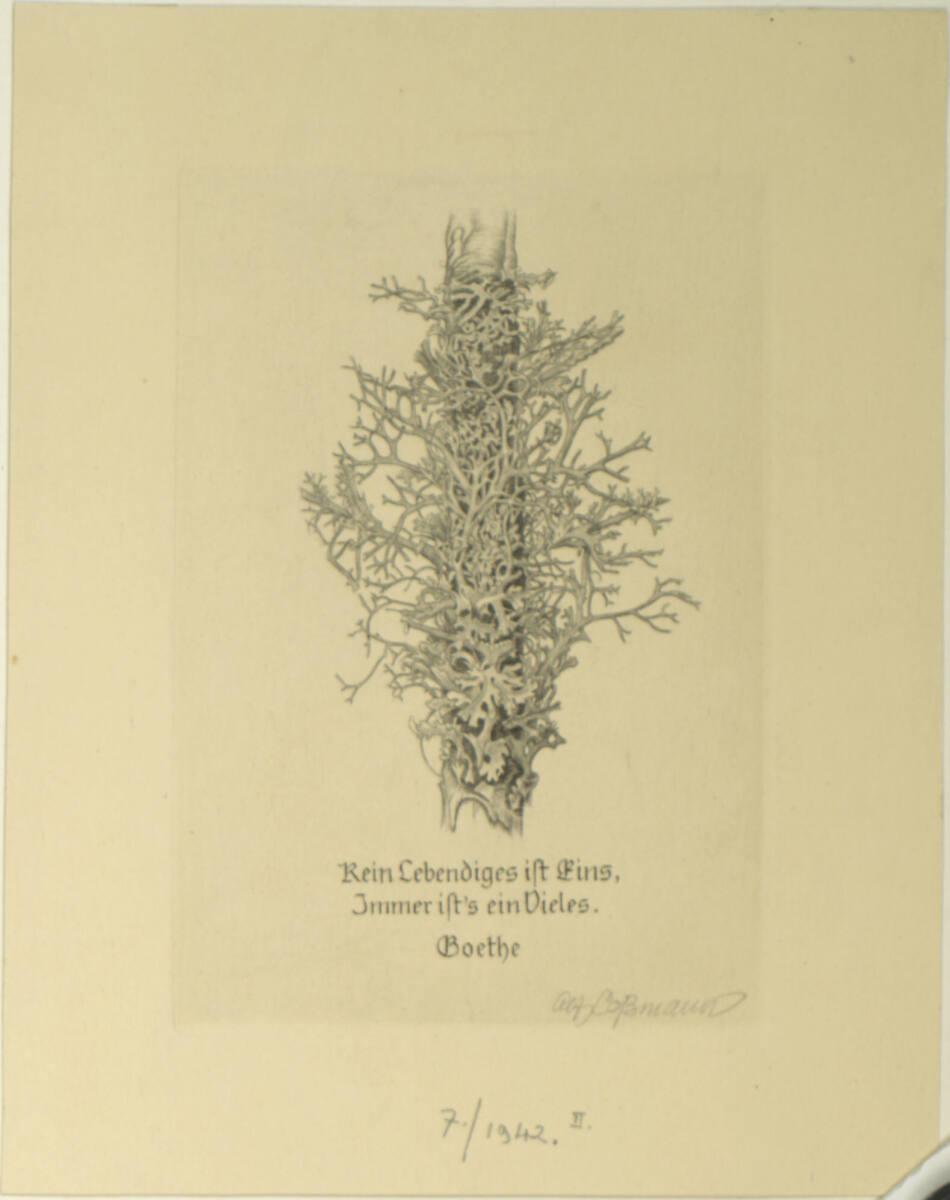 Alfred Cossmann, Kein Lebendiges ist eins..., Inv. Nr.: DG1942/7/2