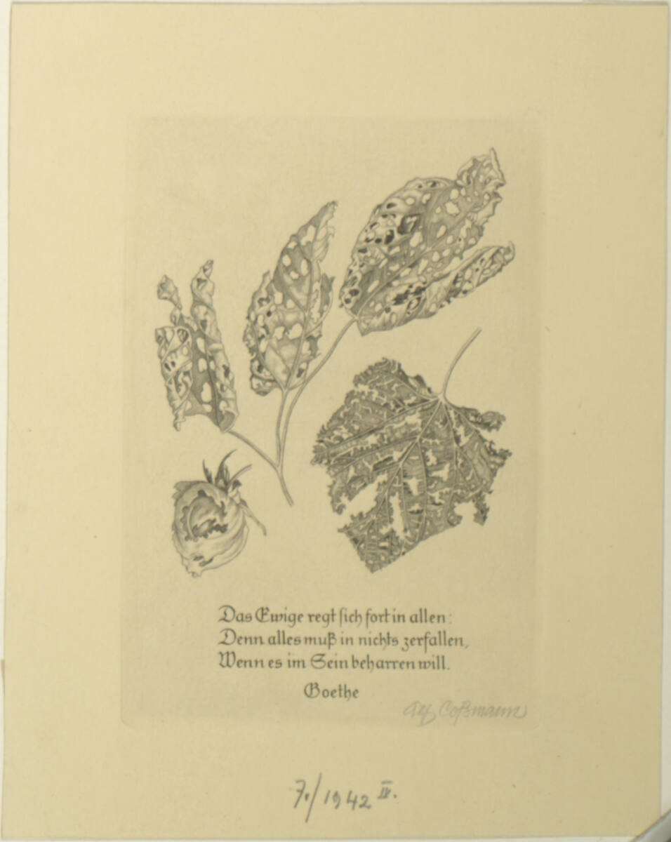 Das Ewige regt sich fort..., Alfred Cossmann