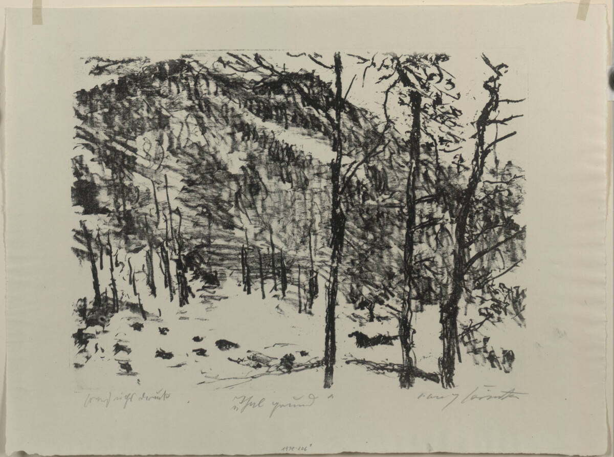 Vorfrühling im Gebirge; Thalgrund, Berlin EuphorionVerlag, 1922