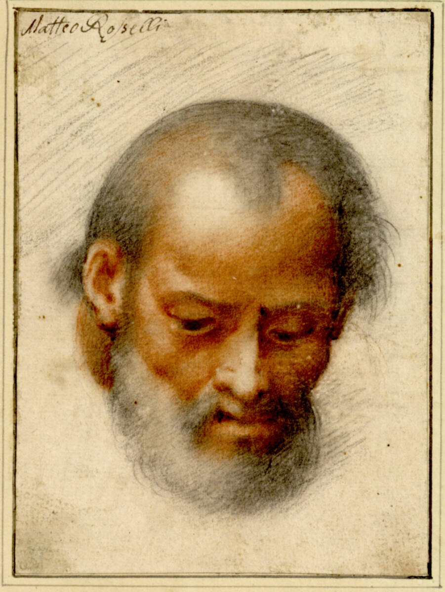 Studie für den Kopf eines bärtigen Greises, der herabblickt, Matteo Rosselli