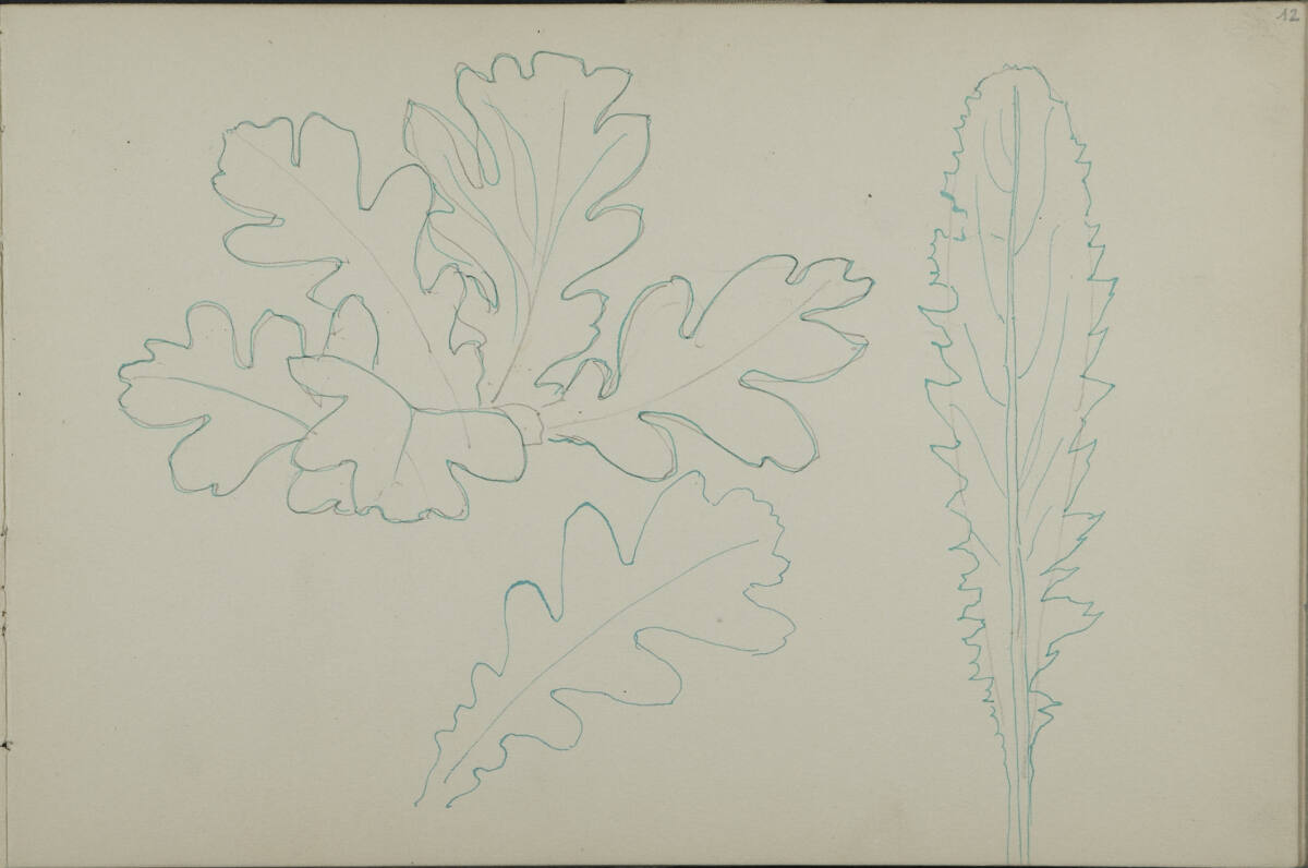 Blattstudien, Leopold Bauer, 1898