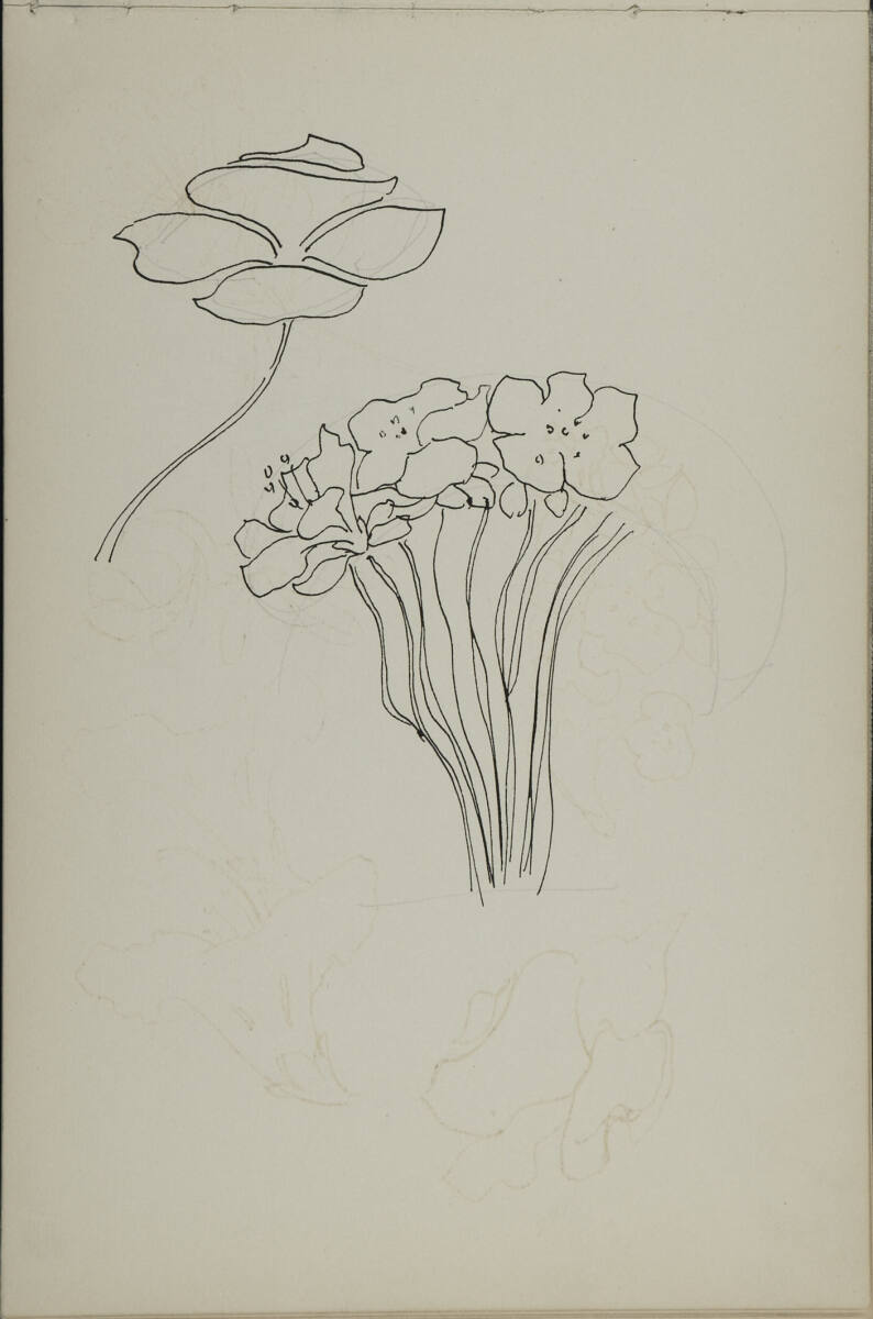 florale Studien, Leopold Bauer, 1899