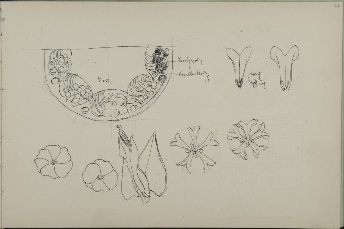 Leopold Bauer, florale Ornamentstudien, Inv. Nr.: 41139/22r