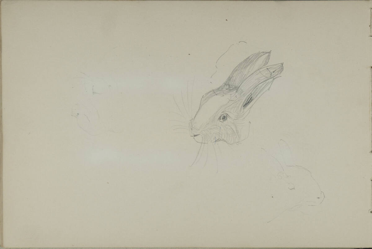 Skizze eines Hasen, Leopold Bauer, 1900