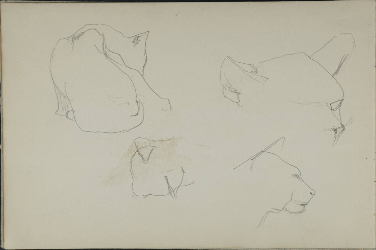 Katzenstudien, Leopold Bauer, 1898