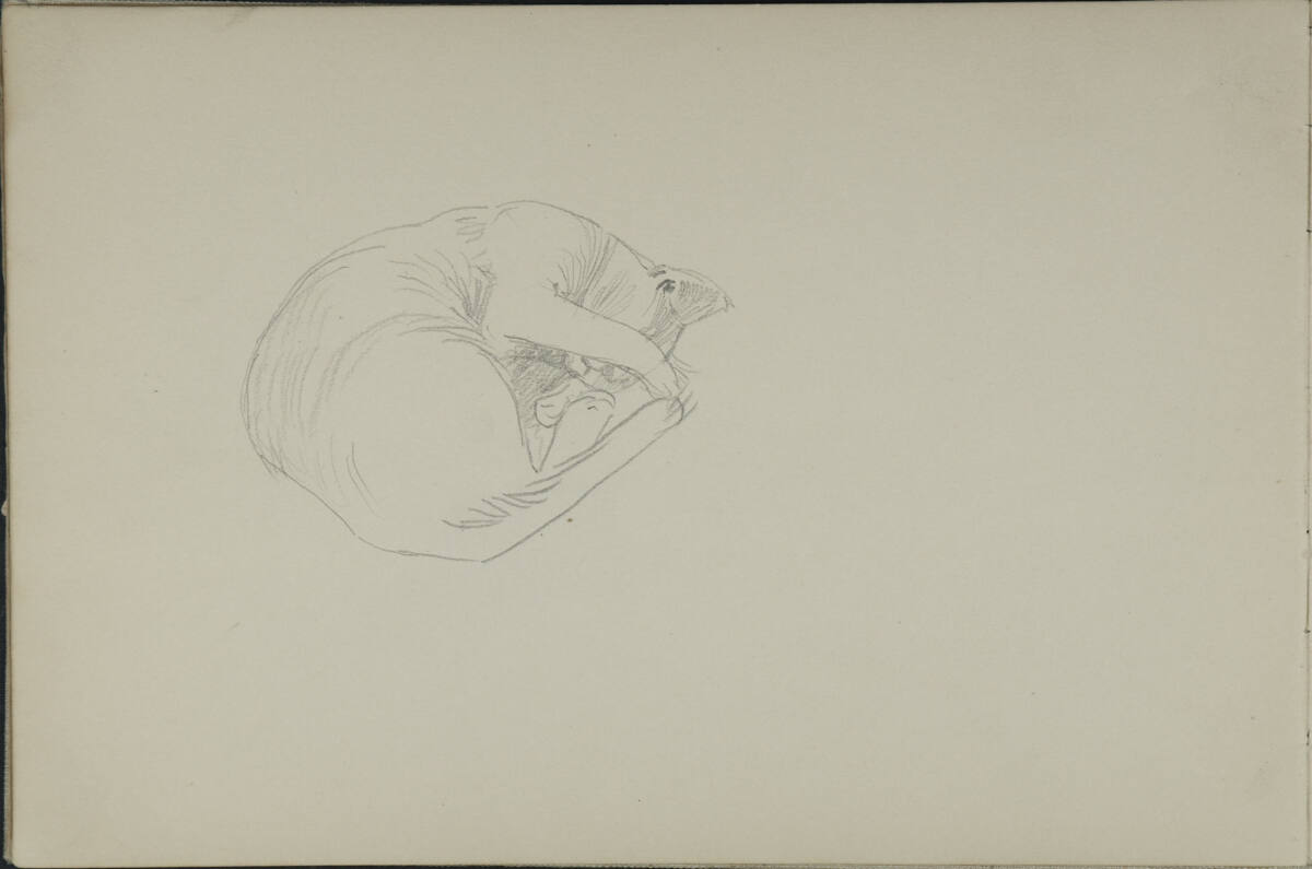 Katzenstudie, Leopold Bauer, 1898