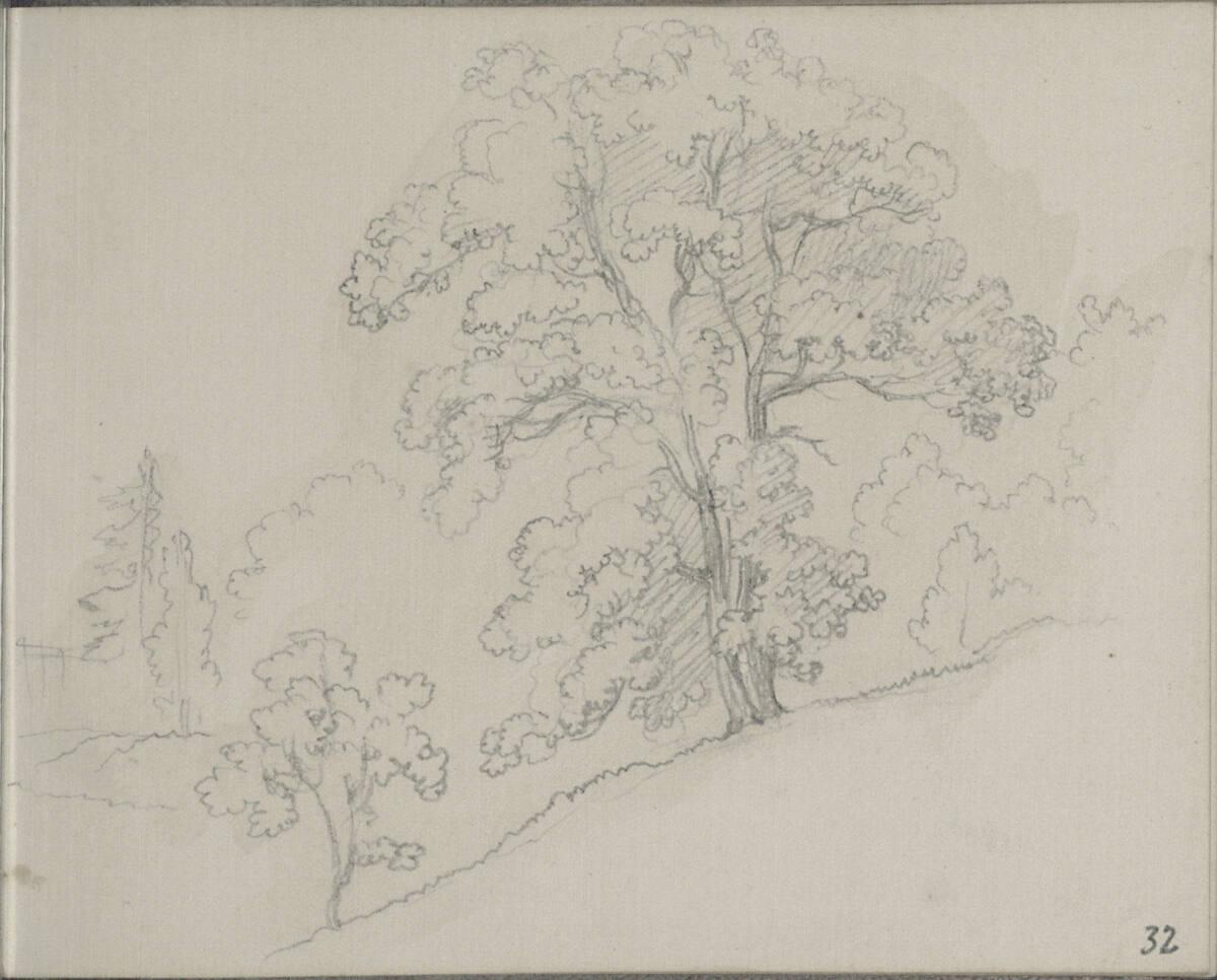 Blasius Höfel, Ein Baum bei Lilienfeld, Inv. Nr.: 35115/32